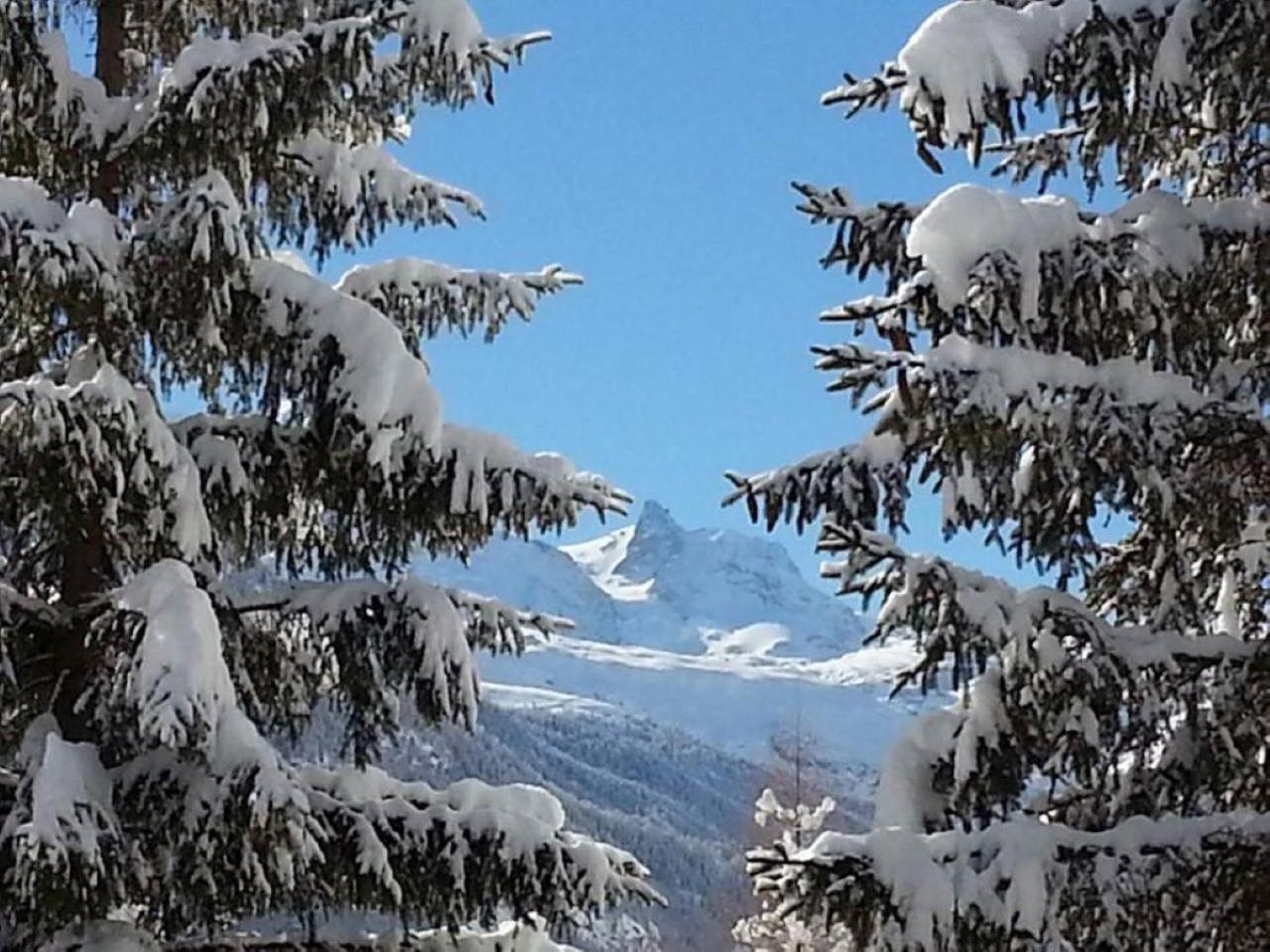 Monte Rosa Taesch, Apartments Mit Wellness Bereich Exteriör bild